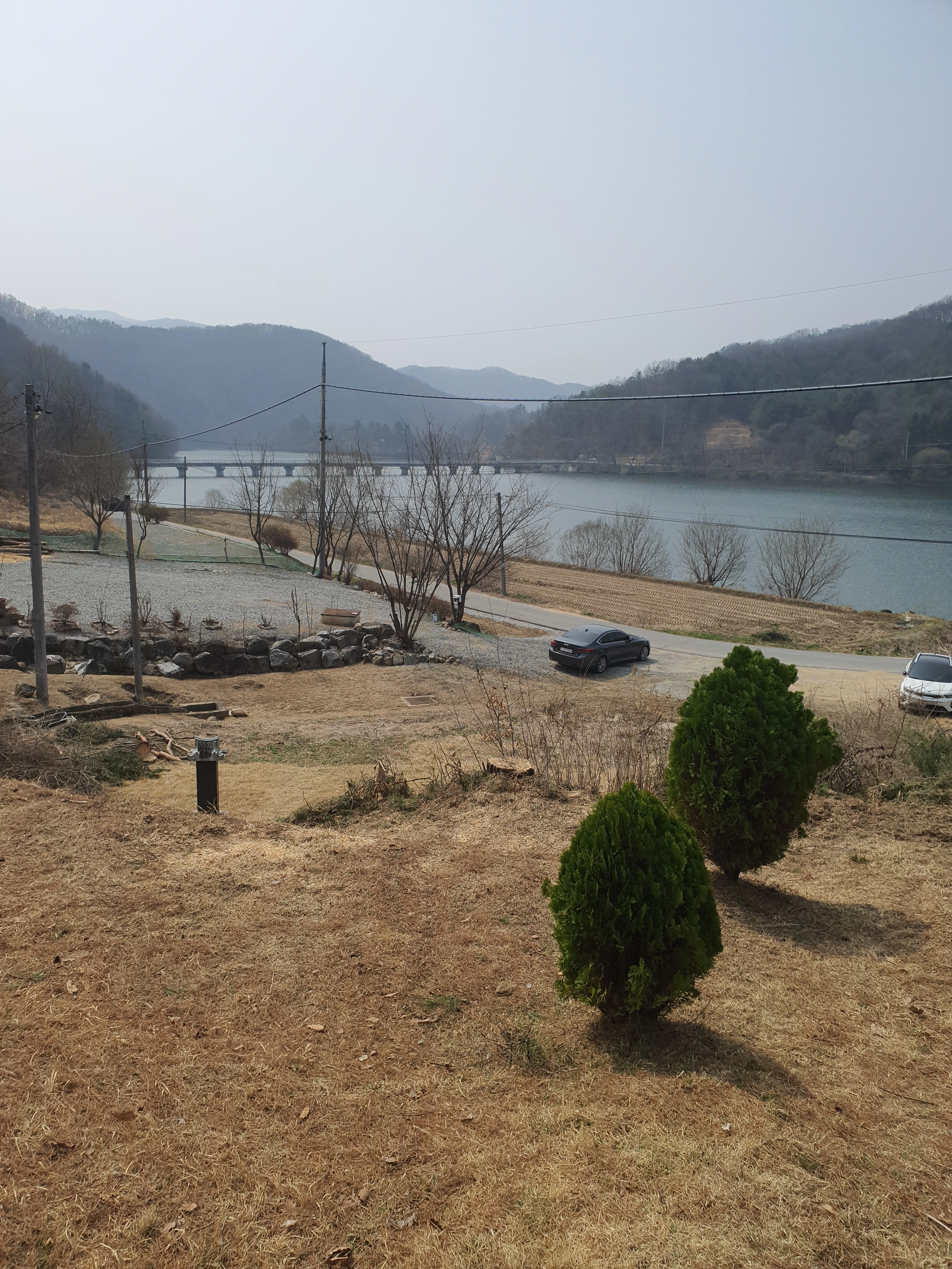 서울 강남 청담동 위험목 제거 — 위험 요소 제거 후 정리된 현장